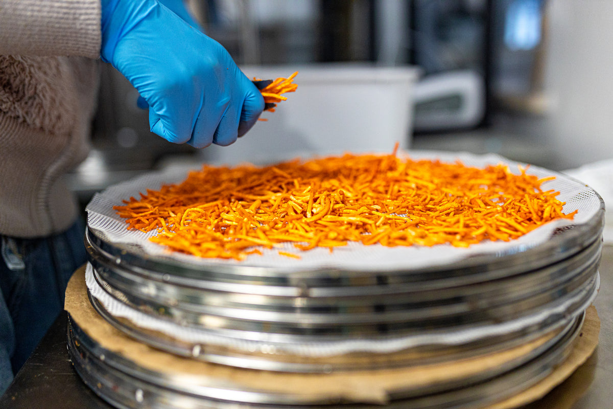 BIO Cordyceps: Energy+