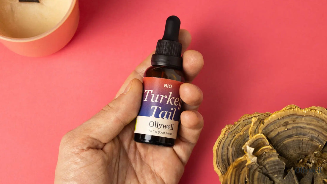 Held in hand: a bottle of Turkey Tail mushroom extract from Ollywell.