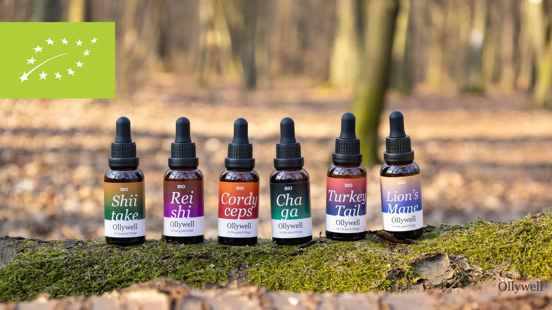 Adaptogen extracts from Ollywell with EU Organic certification.