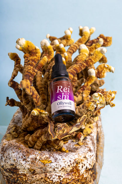 BIO Reishi: Slaap+