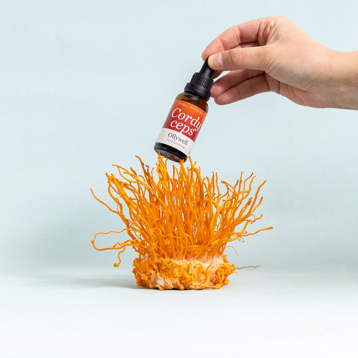 BIO Cordyceps: Energy+