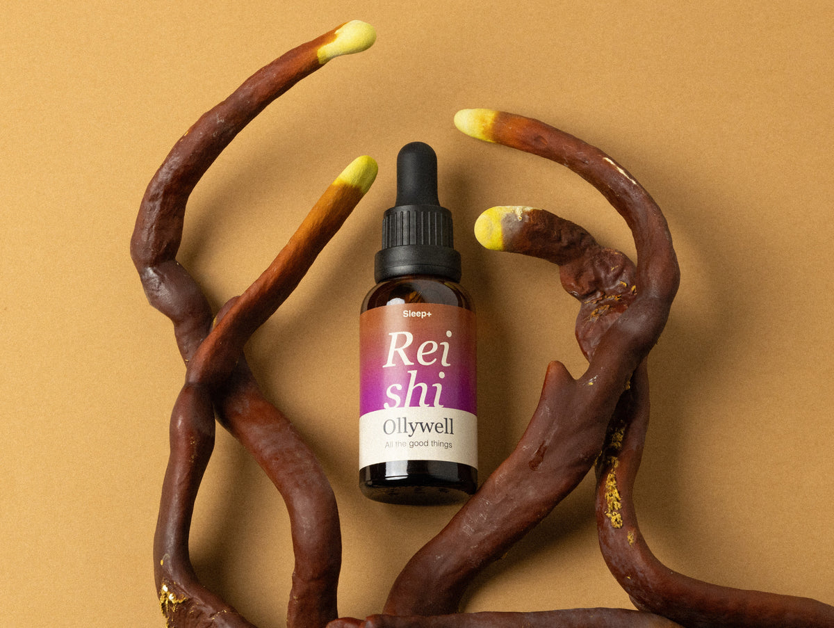 BIO Reishi: Slaap+