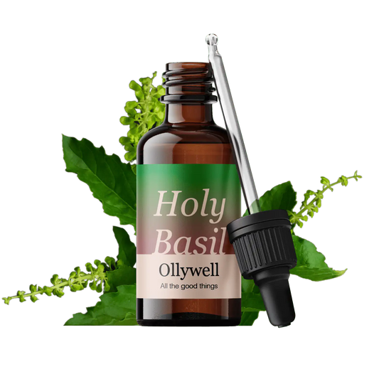 Heilige Basilicum: Balance+